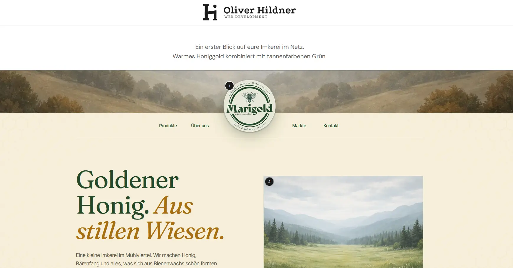 Hildner Web Development Vorschauseite: Kopfbereich mit Navigation, Titel und Bild, darunter der Beginn der Seite.